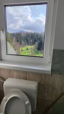 a window in a bathroom with a toilet with a view at Počitniška hiška v gozdnem raju in Črni Vrh