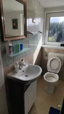 a bathroom with a toilet and a sink and a mirror at Počitniška hiška v gozdnem raju in Črni Vrh