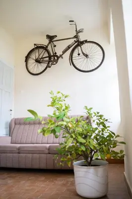 a bike hanging on a wall next to a couch at Apartmaji PAJTLER in Zgornja Kungota