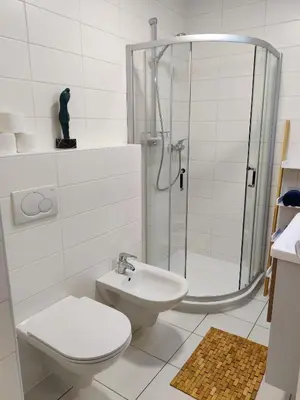 a bathroom with a shower and a toilet and a sink at Sunshine apartment Bled in Bled