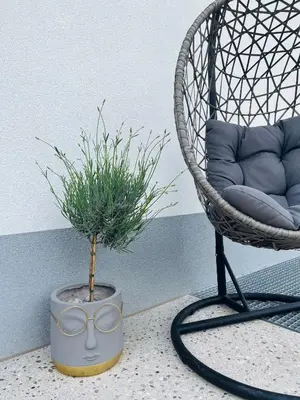 a chair and a potted plant with a pair of glasses at Bubbly Apartment in Bled