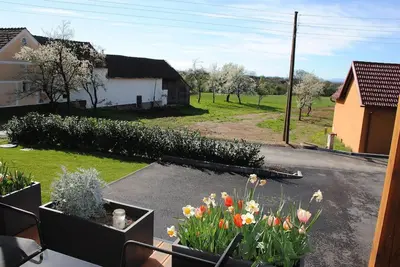 a view of a yard with flowers in pots at Hiška Mirna ravnica in Moravske Toplice