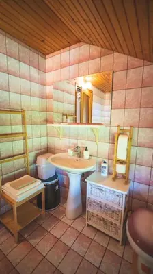 a bathroom with a sink and a mirror at Apartma Župelefski raj in Kapele