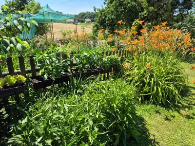 a garden with flowers and a wooden fence at Apartma Župelefski raj in Kapele