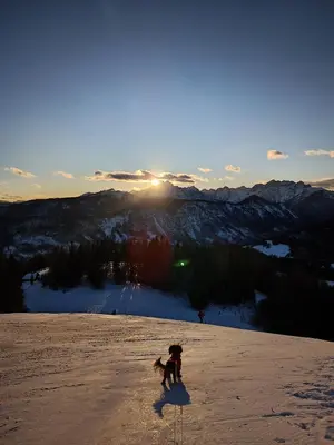 a dog standing on top of a snow covered mountain at Špan Cottage in Jesenice