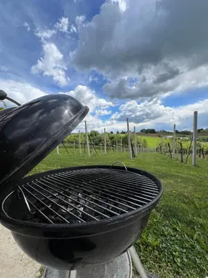 a grill sitting on top of a field of grass at APARTMA ENI in Moravske Toplice