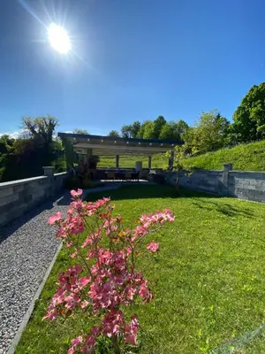 a bush with pink flowers in the grass at Apartmaji Paletino in Turjak