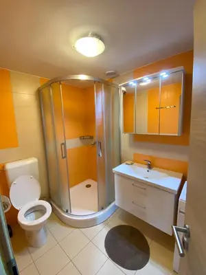 a bathroom with a shower and a toilet and a sink at Apartmaji Paletino in Turjak