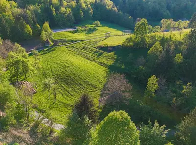 an aerial view of a green field with trees at Secret Paradise apartment in Zgornje Gorje