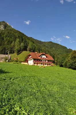 a large house in a field with a green field at Na Logu - Farm Stay Ambrož Gregorc in Solčava