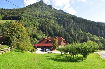 a house in the middle of a field with a mountain at Na Logu - Farm Stay Ambrož Gregorc in Solčava