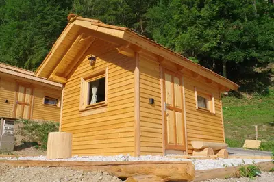 a cabin with a dog looking out of a window at Na Logu - Farm Stay Ambrož Gregorc in Solčava