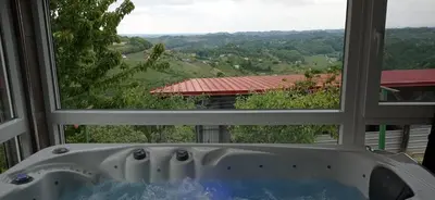 a bath tub sitting in front of a window at Apartment Gajsek in Zavrč