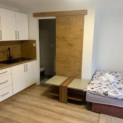 Apartment Gajsek