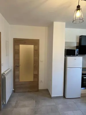 a kitchen with a wooden door and a refrigerator at Apartma Anže Samec in Dobravlje