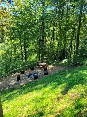 a park with a fire pit and a bench in the grass at Babičina hišica in Mišji Dol