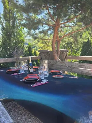 a table with glasses and a bottle of wine at Babičina hišica in Mišji Dol