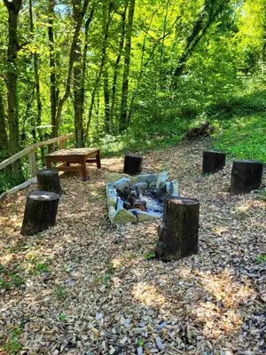 a park with a fire pit and a bench and trees at Babičina hišica in Mišji Dol