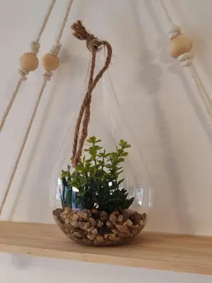a glass bowl with a plant on a shelf at Brunarica Dolce Vita 85 in Brežice