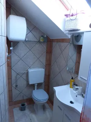 a small bathroom with a toilet and a sink at Vineyard cottage Mavrica in Dragatuš