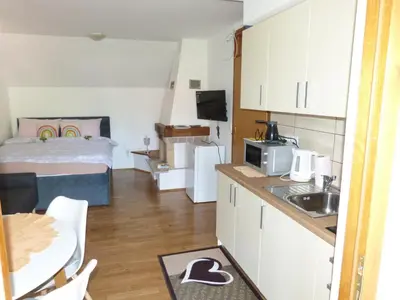a small room with a bed and a kitchen with a sink at Vineyard cottage Mavrica in Dragatuš