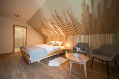a bedroom with a bed and two chairs and a table at Turizem na kmetiji Rdečnik in Slovenj Gradec