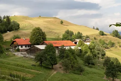 a group of houses in a field with a hill at Turizem na kmetiji Rdečnik in Slovenj Gradec