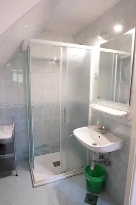 a bathroom with a shower and a sink and a mirror at APARTMAJI-SOBE-PRI UKCU Bohinj in Bohinj