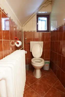 a bathroom with a toilet and a window at APARTMAJI-SOBE-PRI UKCU Bohinj in Bohinj