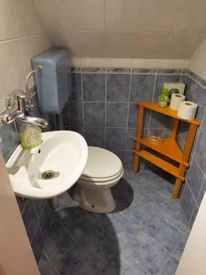 a bathroom with a toilet and a sink at APARTMAJI-SOBE-PRI UKCU Bohinj in Bohinj