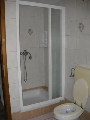 a bathroom with a shower and a toilet at Apartments Cesar in Bohinj