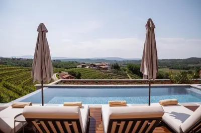 a pool with chairs and umbrellas overlooking a vineyard at Posestvo Ščurek wine in Dobrovo