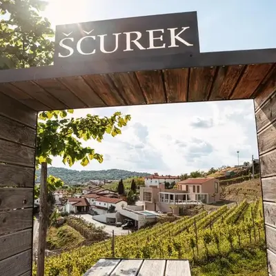 Posestvo Ščurek wine