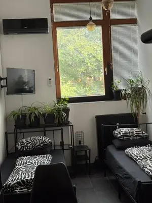 two beds in a room with potted plants at INDUSTRIAL ZONE-STUDIO 3 in Ljubljana