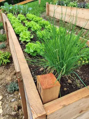 a garden with a wooden box and some plants at Cottage Osojnik - Alpine escape with Wellness in Solčava