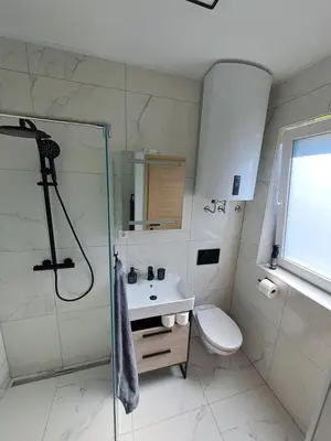 a bathroom with a shower and a toilet and a sink at Bella Apartment in Žirovnica