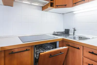 a kitchen with a sink and a dishwasher at House Lenart in Bled