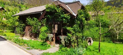 a small house in the middle of a yard at Domačija Markc in Železniki