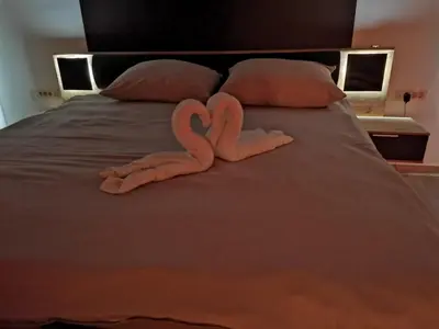 a pair of pink hearts laying on a bed at Spa Hera in Šmartno pri Litiji