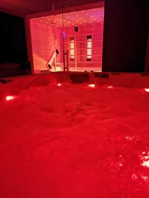 a room with a red rug in a room with a window at Spa Hera in Šmartno pri Litiji