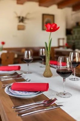a table with a red napkin and a glass of wine at Pr' Končovc in Kranj