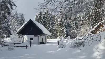 a small house covered in snow next to trees at Počitniška hiša Ukanc in Bohinj