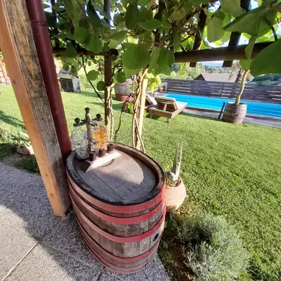 a barrel with a tree growing out of it at Apartma Lavanda in Dramlje