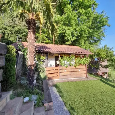 a house with a wooden fence and a palm tree at Apartma Lavanda in Dramlje