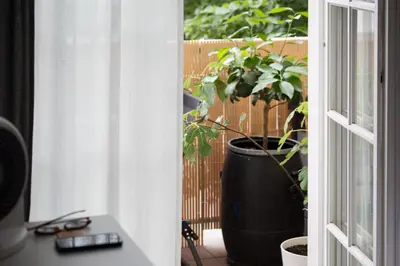 a plant in a large pot sitting outside a window at Bled Center modern apartment with big balcony in Bled