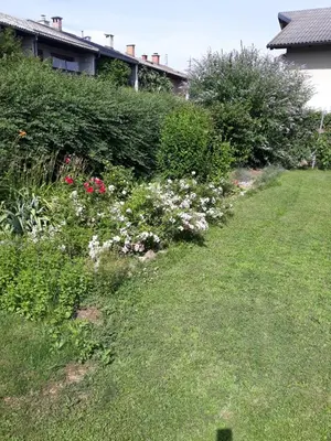 a garden with white and pink flowers in a yard at Apartment Baci for 4 guests in Ljubljana