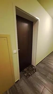 a brown door in a room with a wooden floor at MERY Studio in Ljubljana