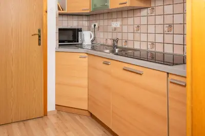 a kitchen with a sink and a microwave at Apartments Žnidar in Bohinj