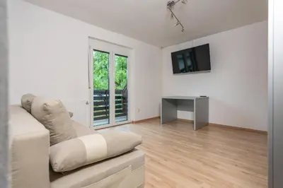 a living room with a couch and a television at Apartments Žnidar in Bohinj