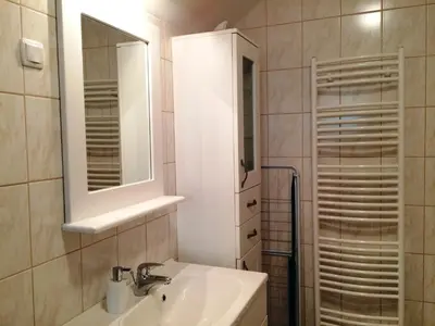 a bathroom with a sink and a mirror at Apartments Pod macesnovo streho in Solčava